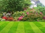 Commercial Lawncare in Wigan