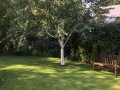0071-e1409312220946