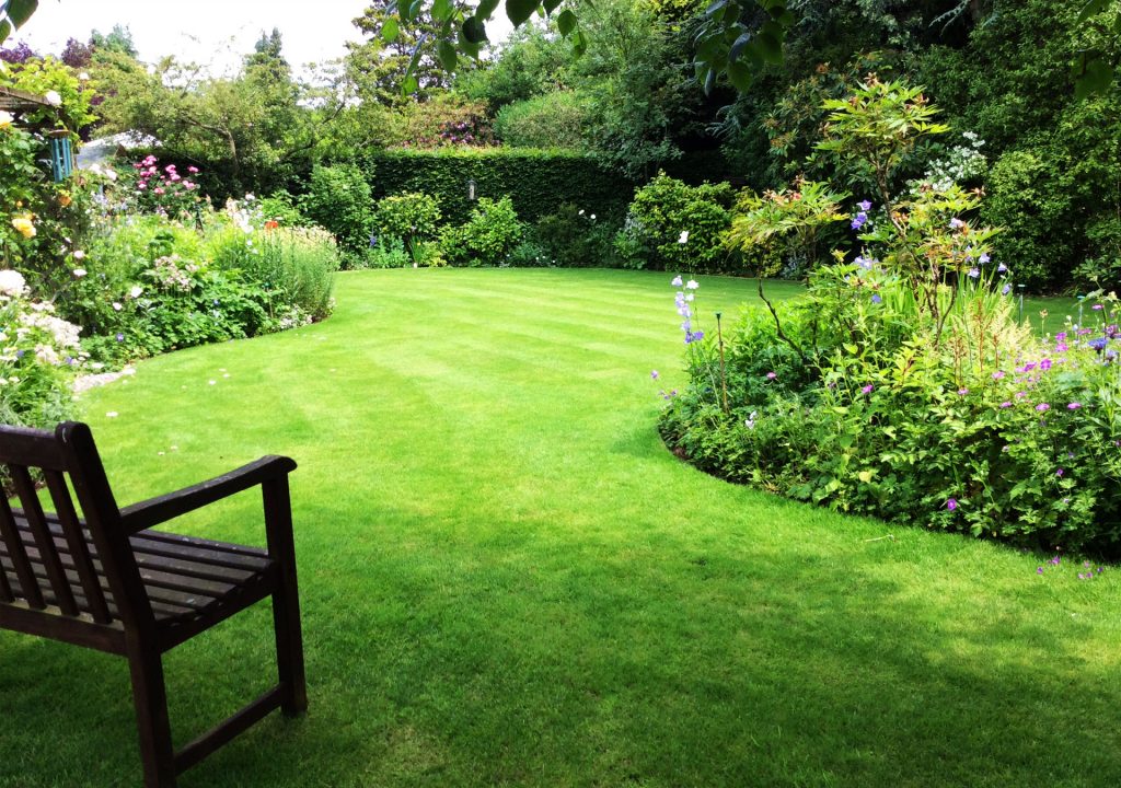 Lawncare Specialist in Ormskirk