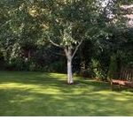 Groundworks Contractors in Eccles