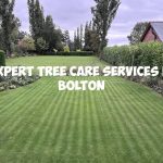Expert Tree Care Services in Bolton